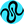 Squid